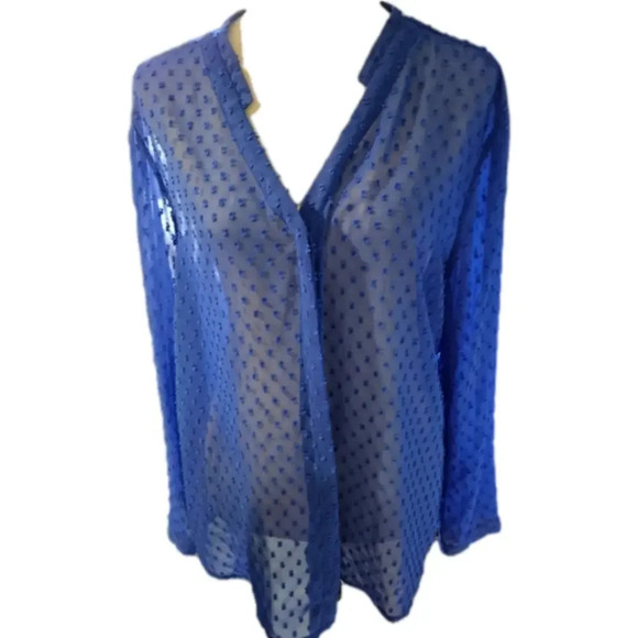 Ann Taylor Tops - Ann Taylor Swiss Dot Sheer Top Blue size XL